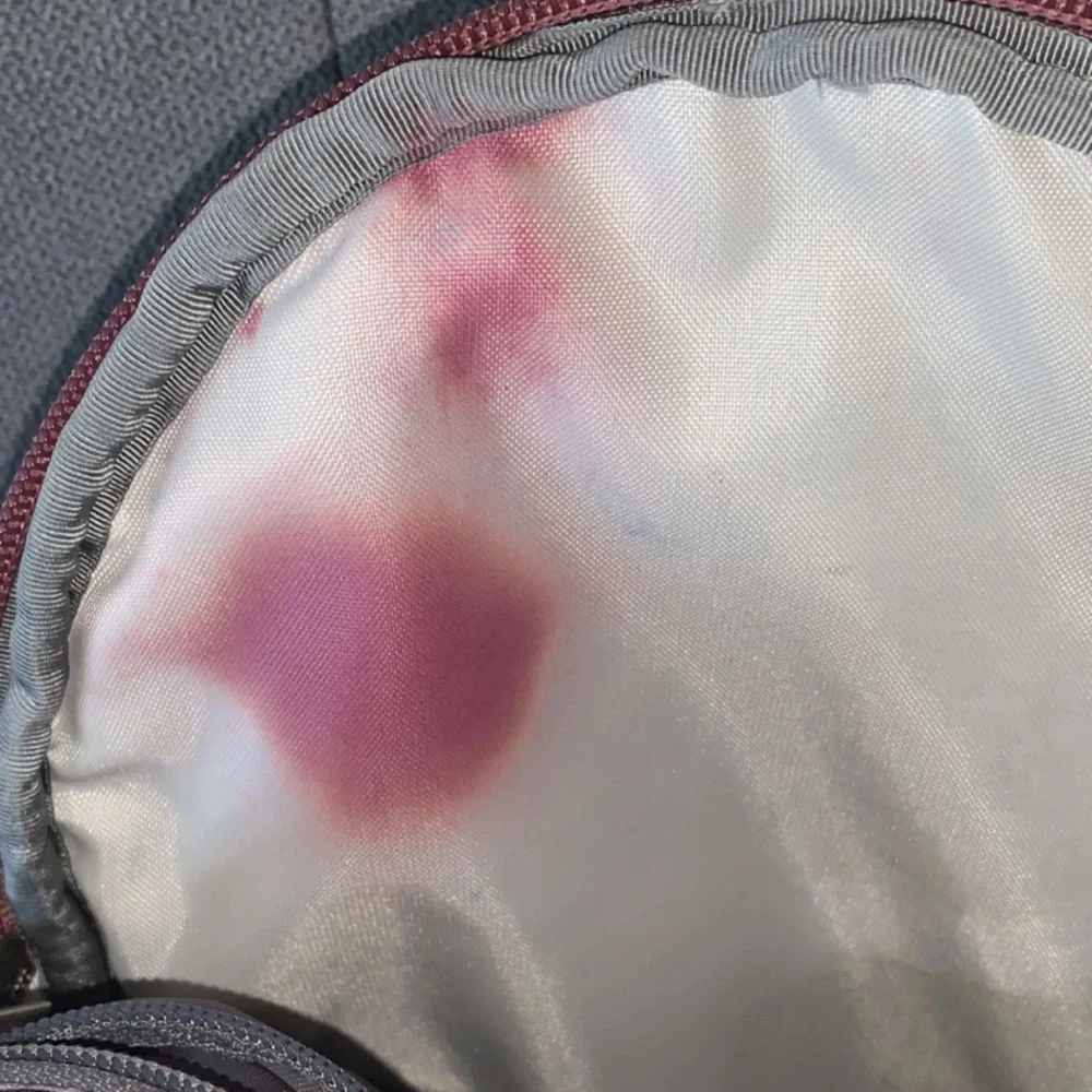 The North Face Earthy Tones Backpack - Picture 4 of 16